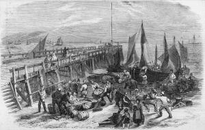 Unloading herrings, Great Yarmouth c. Norfolk County Council