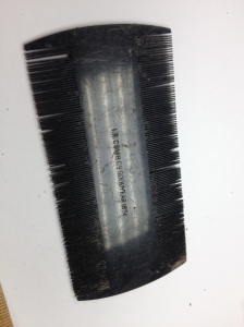 Comb dated 1851 found in poor Italian-Irish district of Boston. Thank you to Boston City Archaeology Project.