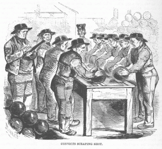 0-convicts-scraping-shop